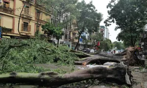 Bão Yagi giảm cấp 'không theo quy luật thông thường'