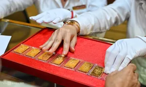 Mỗi lượng vàng miếng giảm hơn 1 triệu đồng Mỗi lượng vàng miếng giảm hơn 1 triệu đồng